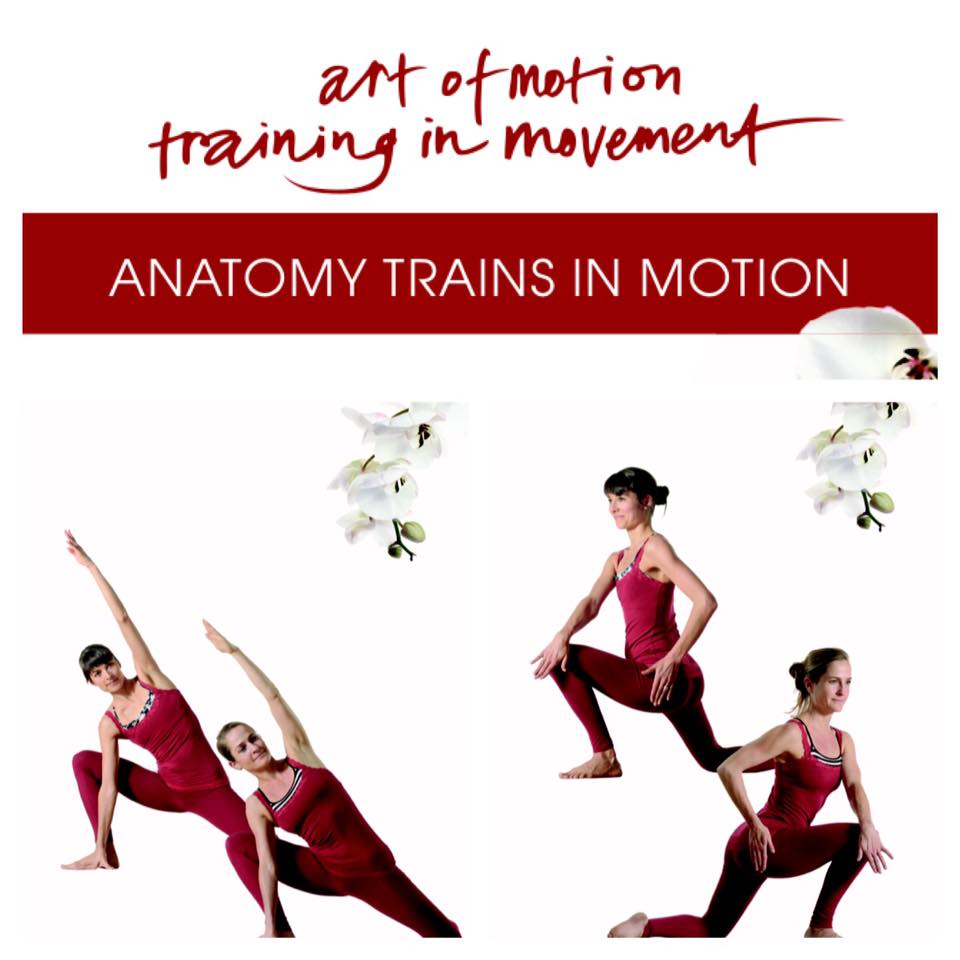 Anatomy Trains in Motion