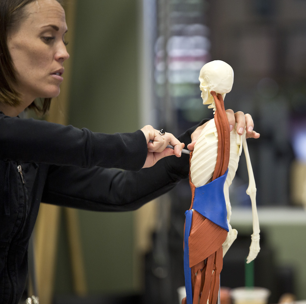 ANATOMY IN 3D - Formazione ufficiale Balanced Body