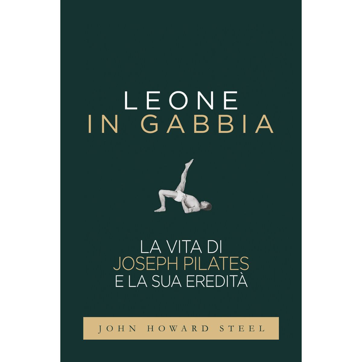 Libro Leone in Gabbia di John Howard Steel